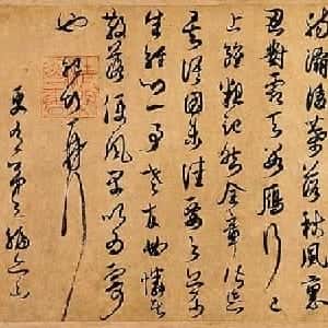 会员头像