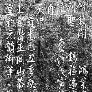 魏悦菲的头像