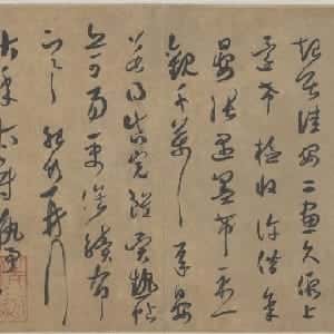 会员头像