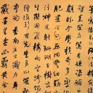 会员头像