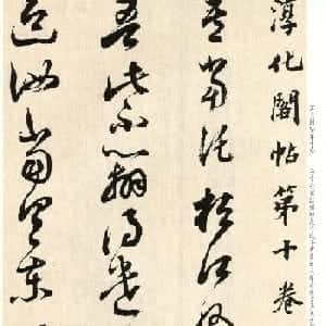 会员头像