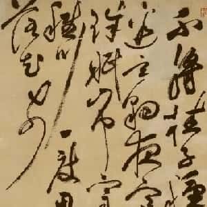 会员头像