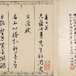 会员头像