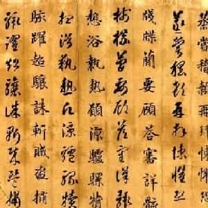 会员头像