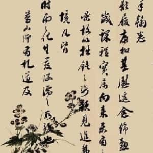 elphaba的头像