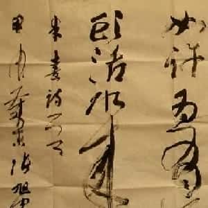 靳敏涵的头像