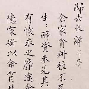 会员头像