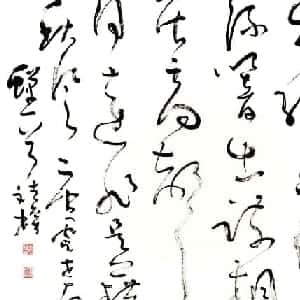 会员头像