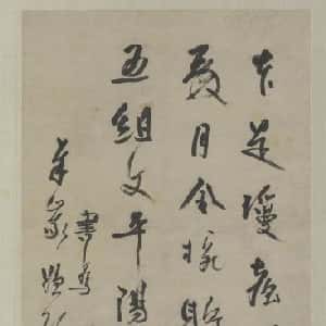 会员头像
