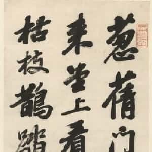 白夏沫的头像
