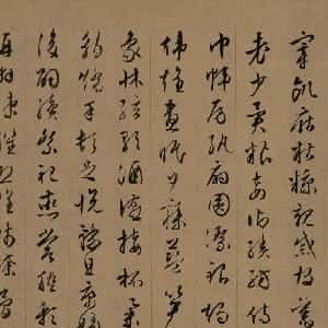 毛小仪的头像