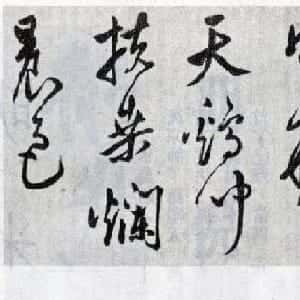 会员头像