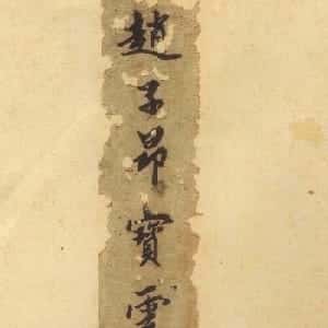 会员头像