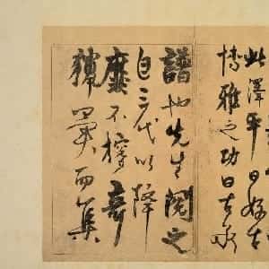 谢如彤的头像