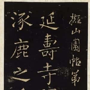 路瑾依的头像