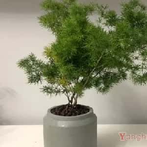 黄颐浔的头像