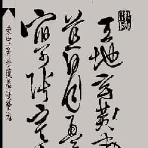 孙锦舒的头像