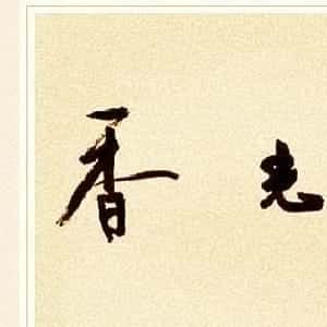 会员头像