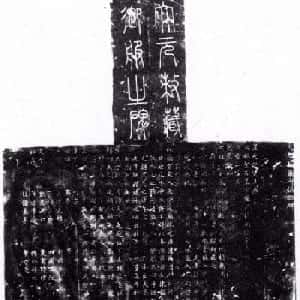 会员头像