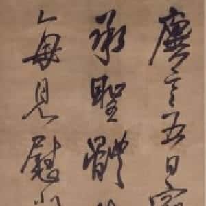 会员头像