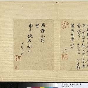 阮辰依的头像