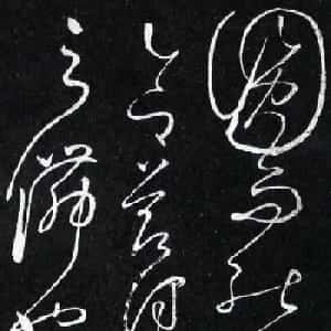 会员头像