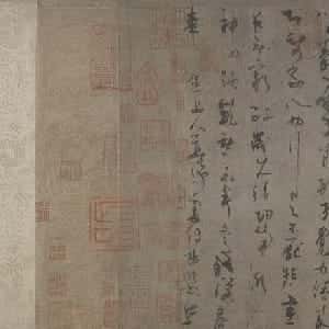 会员头像