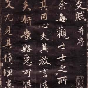 会员头像