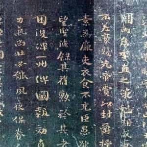 齐茗泓的头像