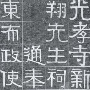 董薇楠的头像