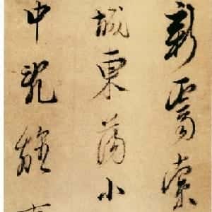 会员头像