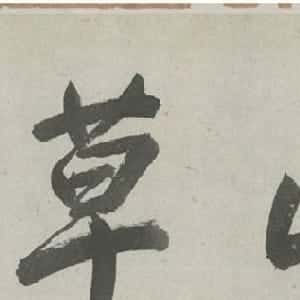 会员头像