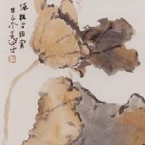 贾筱贝的头像