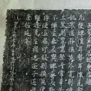 范梓榆的头像