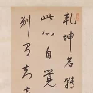 会员头像