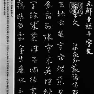 会员头像