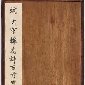 会员头像
