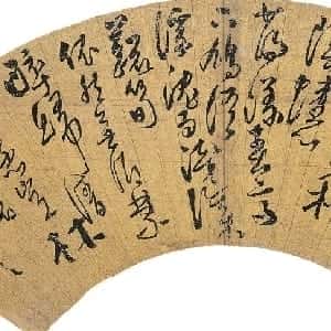 苏恩雅的头像