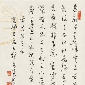 chelsi的头像