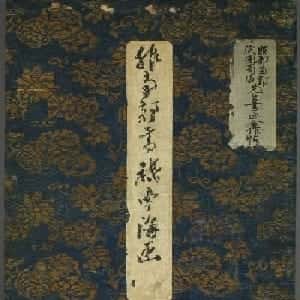 会员头像