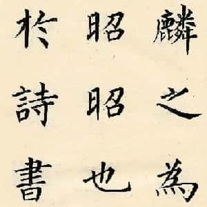ovidio的头像