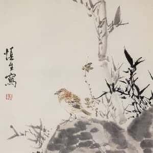 田沐瑾的头像