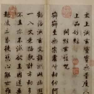 会员头像
