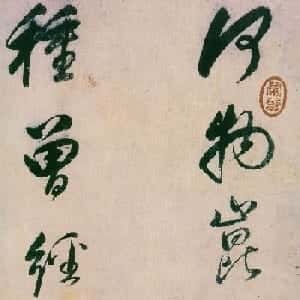 会员头像