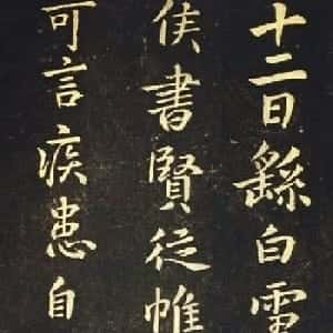 会员头像
