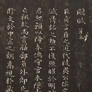 会员头像