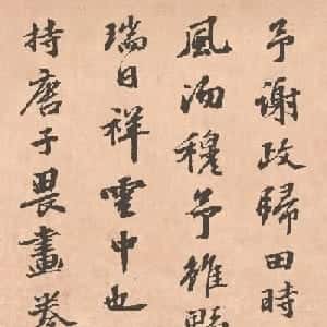 会员头像