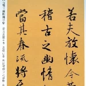 董楠晨的头像