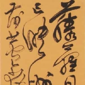 会员头像