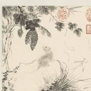 吕蔓婷的头像